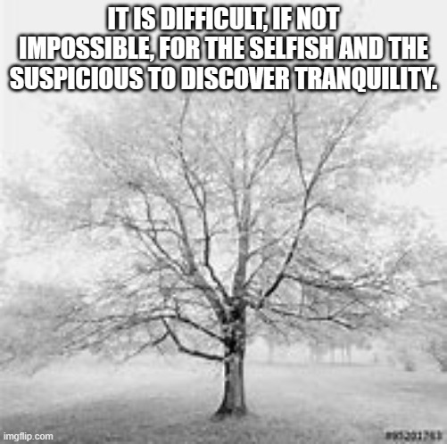 IT IS DIFFICULT, IF NOT IMPOSSIBLE, FOR THE SELFISH AND THE SUSPICIOUS TO DISCOVER TRANQUILITY. | made w/ Imgflip meme maker