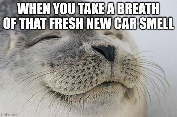 when you smell that new car smell | WHEN YOU TAKE A BREATH OF THAT FRESH NEW CAR SMELL | image tagged in memes,satisfied seal,funny,fun | made w/ Imgflip meme maker