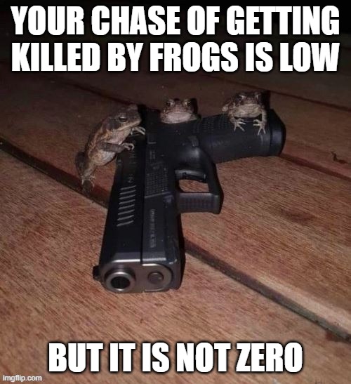 YOUR CHASE OF GETTING KILLED BY FROGS IS LOW; BUT IT IS NOT ZERO | image tagged in frog,gun control | made w/ Imgflip meme maker