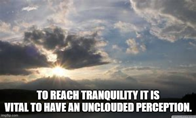 TO REACH TRANQUILITY IT IS VITAL TO HAVE AN UNCLOUDED PERCEPTION. | made w/ Imgflip meme maker