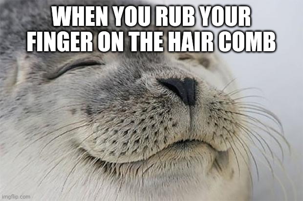 So satisfying | WHEN YOU RUB YOUR FINGER ON THE HAIR COMB | image tagged in memes,satisfied seal | made w/ Imgflip meme maker