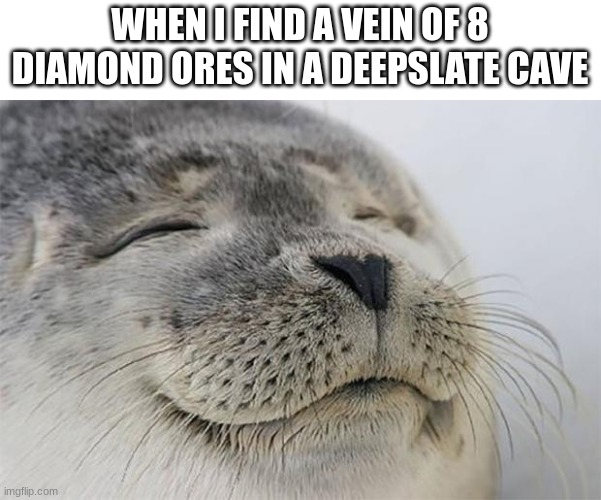 Satisfied Seal | WHEN I FIND A VEIN OF 8 DIAMOND ORES IN A DEEPSLATE CAVE | image tagged in memes,satisfied seal,minecraft,gaming,diamonds | made w/ Imgflip meme maker