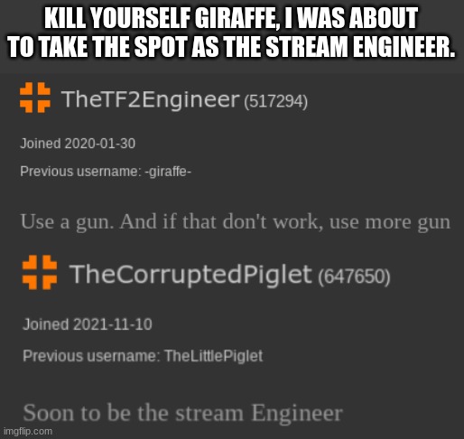 KILL YOURSELF GIRAFFE, I WAS ABOUT TO TAKE THE SPOT AS THE STREAM ENGINEER. | made w/ Imgflip meme maker
