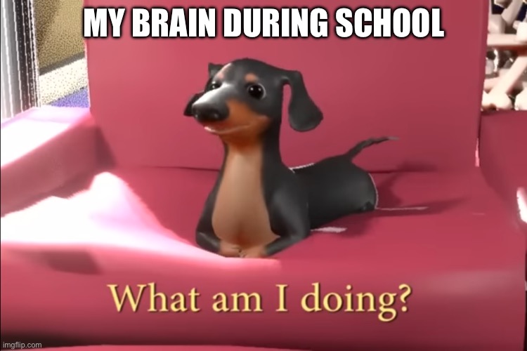 My brain | MY BRAIN DURING SCHOOL | image tagged in what am i doing | made w/ Imgflip meme maker