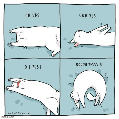 A Cat's Way Of Thinking | image tagged in memes,comics/cartoons,cats,sleeping,manners,ah yes | made w/ Imgflip meme maker