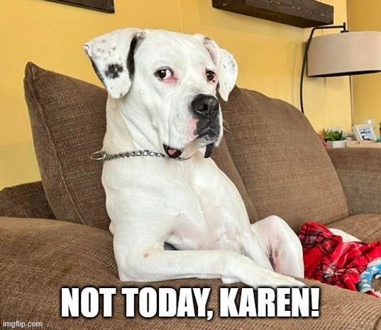 Not today, Karen! | NOT TODAY, KAREN! | image tagged in funny dogs,dog meme,karen meme | made w/ Imgflip meme maker