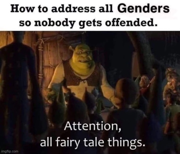 Not my meme | image tagged in shrek,gender,gender identity,2 genders | made w/ Imgflip meme maker