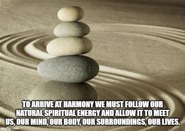 TO ARRIVE AT HARMONY WE MUST FOLLOW OUR NATURAL SPIRITUAL ENERGY AND ALLOW IT TO MEET US, OUR MIND, OUR BODY, OUR SURROUNDINGS, OUR LIVES. | made w/ Imgflip meme maker