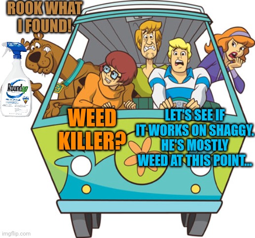 Scooby Doo Meme | ROOK WHAT I FOUND! WEED KILLER? LET'S SEE IF IT WORKS ON SHAGGY. HE'S MOSTLY WEED AT THIS POINT... | image tagged in memes,scooby doo | made w/ Imgflip meme maker