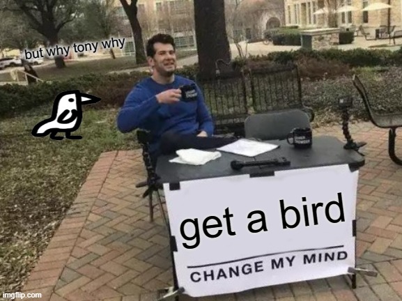 poor bird | but why tony why; get a bird | image tagged in memes,change my mind | made w/ Imgflip meme maker