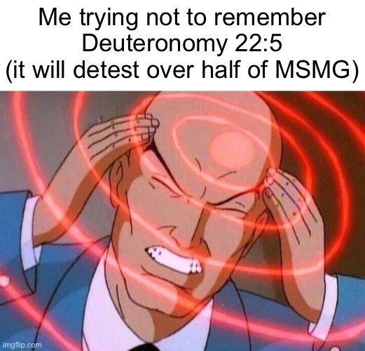 /hj | Me trying not to remember Deuteronomy 22:5
(it will detest over half of MSMG) | image tagged in trying to remember,balls,based | made w/ Imgflip meme maker