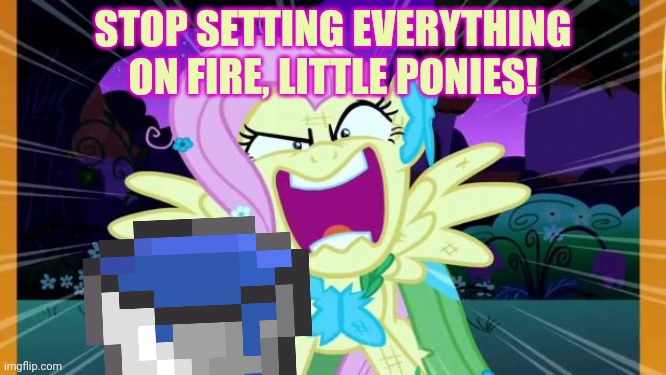 Fluttershy love | STOP SETTING EVERYTHING ON FIRE, LITTLE PONIES! | image tagged in fluttershy love | made w/ Imgflip meme maker