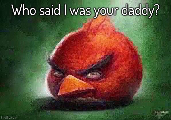 Realistic Red Angry Birds | Who said I was your daddy? | image tagged in realistic red angry birds | made w/ Imgflip meme maker