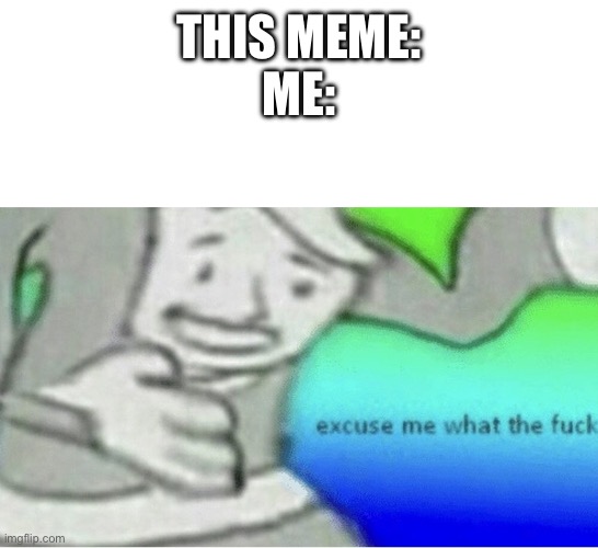 Excuse me wtf blank template | THIS MEME:
ME: | image tagged in excuse me wtf blank template | made w/ Imgflip meme maker