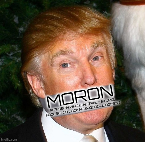 MORON | MORON; A PERSON WHO IS NOTABLY STUPID, FOOLISH; OR LACKING IN GOOD JUDGMENT | image tagged in moron,stupid,fool,dunce,idiot,trump | made w/ Imgflip meme maker