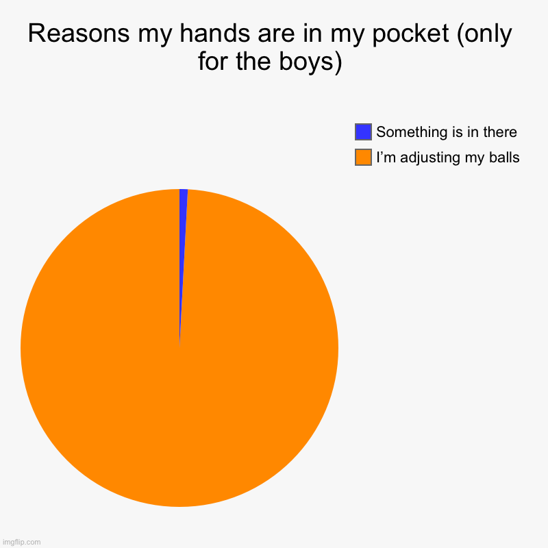 Reasons my hands are in my pocket (only for the boys) | I’m adjusting my balls, Something is in there | image tagged in charts,pie charts | made w/ Imgflip chart maker