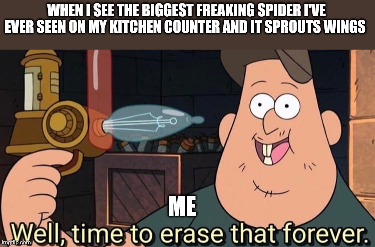 Delete memory because of traumatizing spider encounter | WHEN I SEE THE BIGGEST FREAKING SPIDER I'VE EVER SEEN ON MY KITCHEN COUNTER AND IT SPROUTS WINGS; ME | image tagged in well time to erase that forever | made w/ Imgflip meme maker