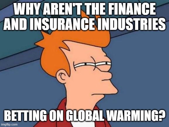 Futurama Fry Meme | WHY AREN'T THE FINANCE AND INSURANCE INDUSTRIES; BETTING ON GLOBAL WARMING? | image tagged in memes,futurama fry | made w/ Imgflip meme maker