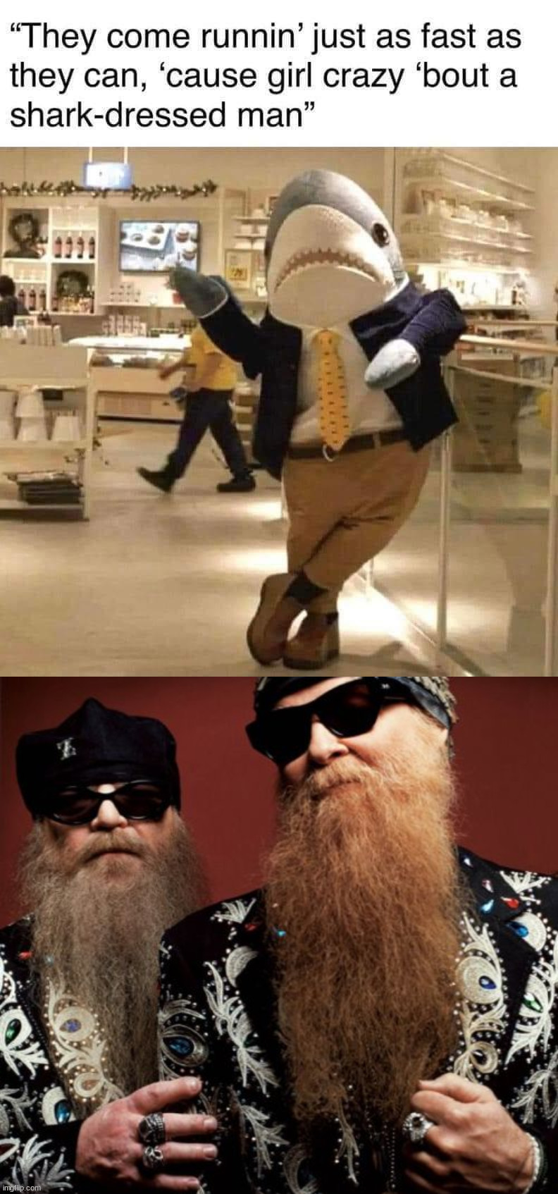 image tagged in memes,brian wilson vs zz top | made w/ Imgflip meme maker