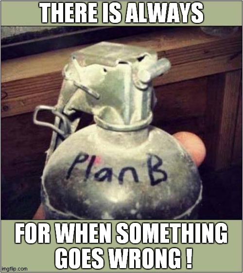 I've Got A Plan ! | THERE IS ALWAYS; FOR WHEN SOMETHING
 GOES WRONG ! | image tagged in plans,grenade,dark humour | made w/ Imgflip meme maker