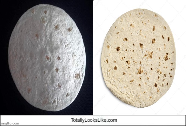 The full moon and flour tortilla | image tagged in totally looks like,full moon,moon,memes,science,flour tortilla | made w/ Imgflip meme maker