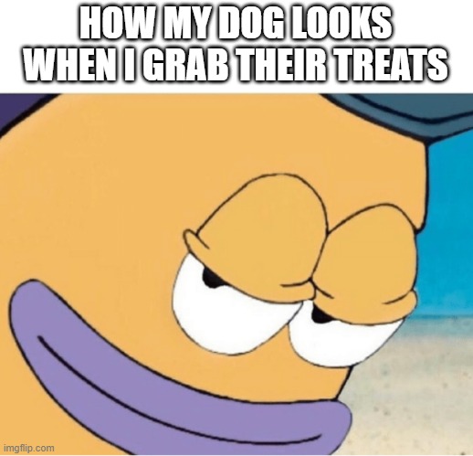 doggo face | HOW MY DOG LOOKS WHEN I GRAB THEIR TREATS | image tagged in spongebob smiling mailman,spongebob,patrick star,funny,dog | made w/ Imgflip meme maker