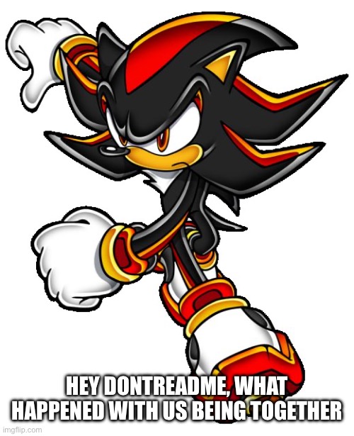 Shadow the hedgehog | HEY DONTREADME, WHAT HAPPENED WITH US BEING TOGETHER | image tagged in shadow the hedgehog | made w/ Imgflip meme maker