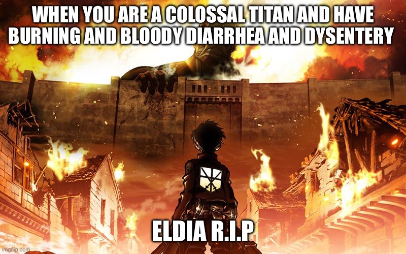Attack On Titan | WHEN YOU ARE A COLOSSAL TITAN AND HAVE BURNING AND BLOODY DIARRHEA AND DYSENTERY; ELDIA R.I.P | image tagged in attack on titan | made w/ Imgflip meme maker