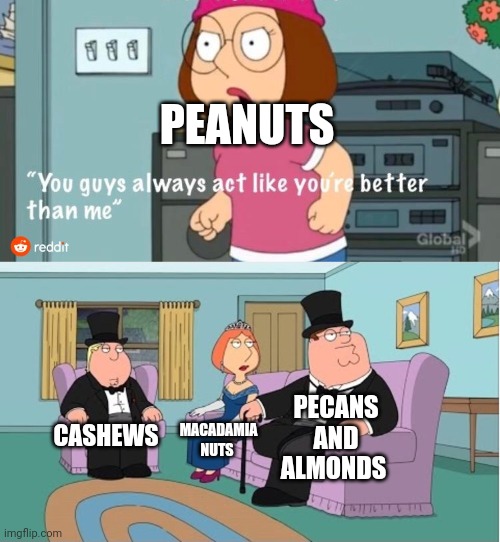 Peanuts like to be more popular | PEANUTS; PECANS AND ALMONDS; CASHEWS; MACADAMIA NUTS | image tagged in you guys always act like you're better than me | made w/ Imgflip meme maker
