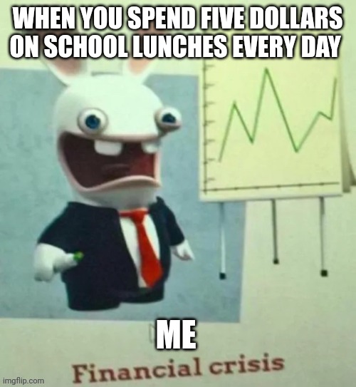 School lunches are a financial crisis | WHEN YOU SPEND FIVE DOLLARS ON SCHOOL LUNCHES EVERY DAY; ME | image tagged in financial crisis | made w/ Imgflip meme maker