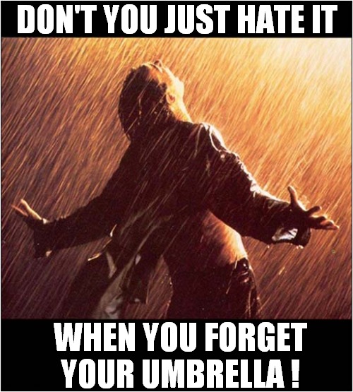 Getting Soaked To The Skin ? | DON'T YOU JUST HATE IT; WHEN YOU FORGET YOUR UMBRELLA ! | image tagged in the shawshank redemption,soaked,umbrella | made w/ Imgflip meme maker