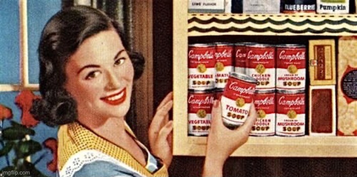 1950s housewife | image tagged in 1950s housewife | made w/ Imgflip meme maker
