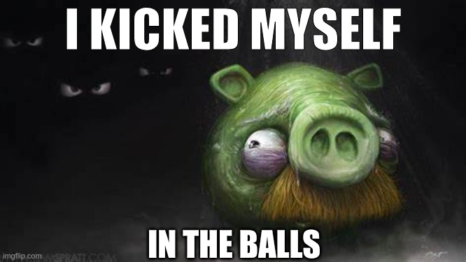 I fr did | I KICKED MYSELF; IN THE BALLS | image tagged in realistic pig in dark | made w/ Imgflip meme maker