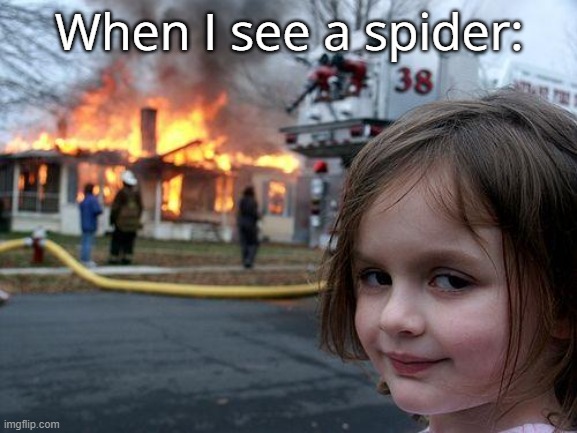 Disaster Girl | When I see a spider: | image tagged in memes,disaster girl | made w/ Imgflip meme maker