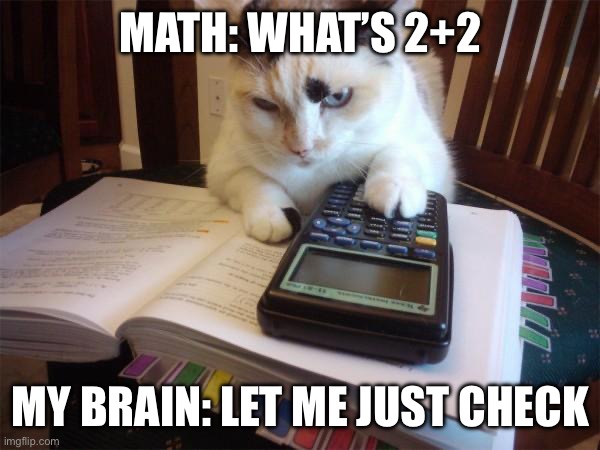 Math cat | MATH: WHAT’S 2+2; MY BRAIN: LET ME JUST CHECK | image tagged in math cat | made w/ Imgflip meme maker