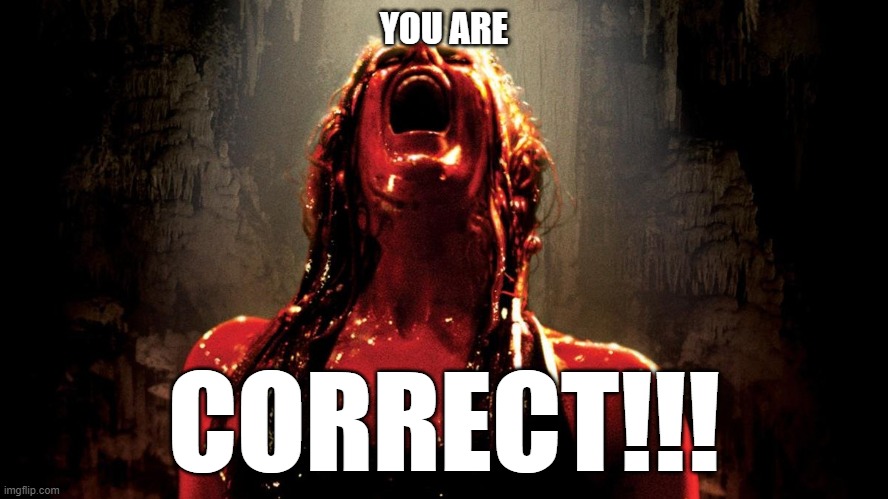 you are correct!!! | YOU ARE; CORRECT!!! | image tagged in final girls,the decent | made w/ Imgflip meme maker