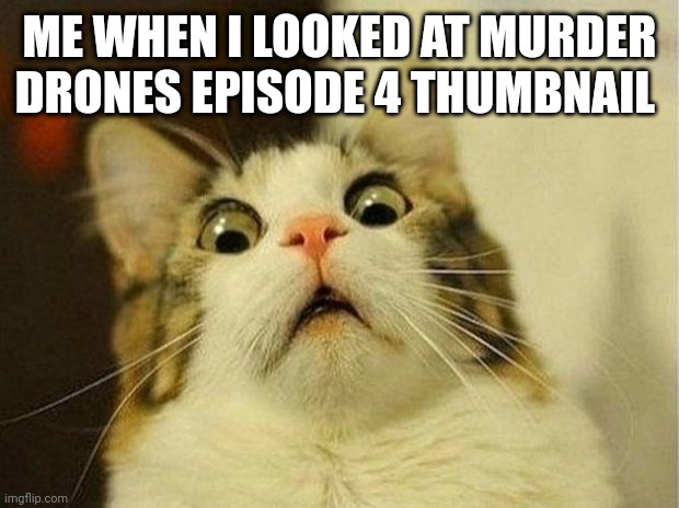 Scared Cat | ME WHEN I LOOKED AT MURDER DRONES EPISODE 4 THUMBNAIL | image tagged in memes,scared cat,murder drones | made w/ Imgflip meme maker