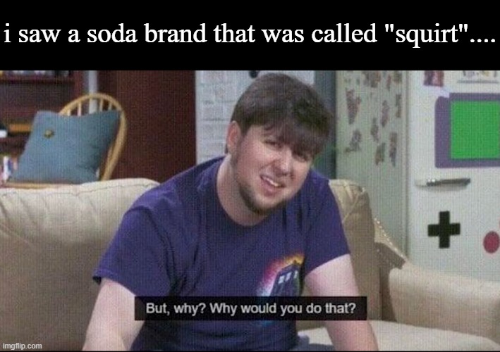 WHYYYYYYYYY | i saw a soda brand that was called "squirt".... | image tagged in but why why would you do that | made w/ Imgflip meme maker