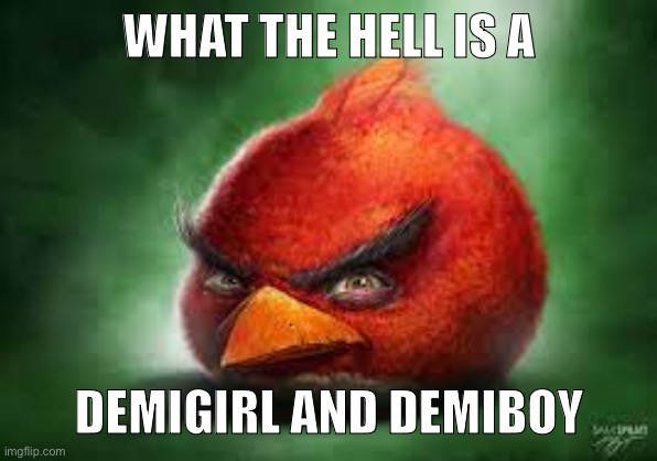 Realistic Red Angry Birds | WHAT THE HELL IS A; DEMIGIRL AND DEMIBOY | image tagged in realistic red angry birds | made w/ Imgflip meme maker