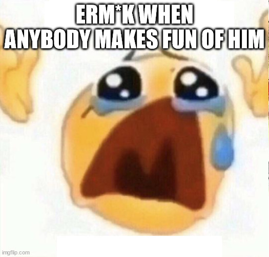 Erm*k. | ERM*K WHEN ANYBODY MAKES FUN OF HIM | image tagged in boo hooo | made w/ Imgflip meme maker