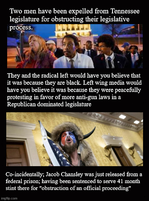 Two men have been expelled from Tennessee  legislature ... | Two men have been expelled from Tennessee 
legislature for obstructing their legislative  
process. They and the radical left would have you believe that 
it was because they are black. Left wing media would 
have you believe it was because they were peacefully
protesting in favor of more anti-gun laws in a 
Republican dominated legislature; Co-incidentally; Jacob Chansley was just released from a 
federal prison; having been sentenced to serve 41 month 
stint there for "obstruction of an official proceeding" | image tagged in tennessee legislators expelled,gun control | made w/ Imgflip meme maker