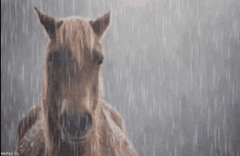 he was not that hungry... | made w/ Imgflip meme maker