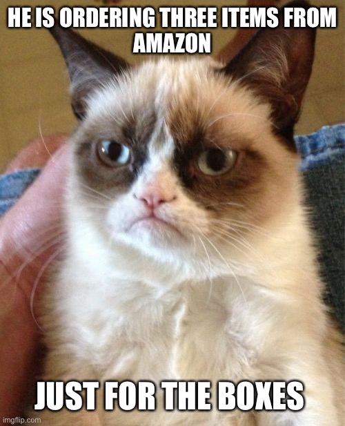Grumpy Cat Meme | HE IS ORDERING THREE ITEMS FROM
AMAZON JUST FOR THE BOXES | image tagged in memes,grumpy cat | made w/ Imgflip meme maker