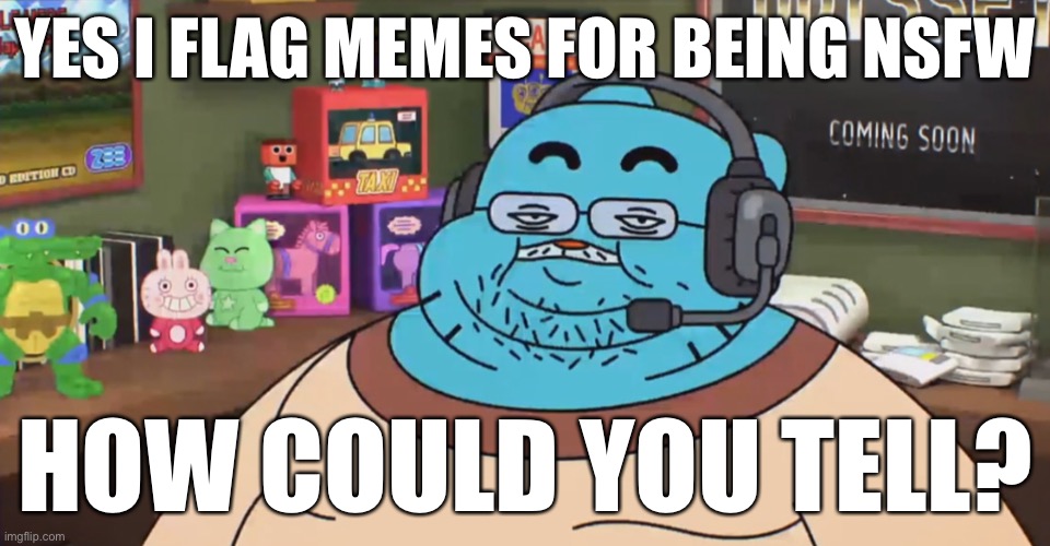 It’s a 13 plus site, please | YES I FLAG MEMES FOR BEING NSFW; HOW COULD YOU TELL? | image tagged in discord moderator | made w/ Imgflip meme maker
