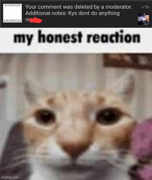 image tagged in my honest reaction | made w/ Imgflip meme maker