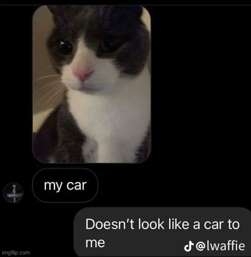 the car | made w/ Imgflip meme maker