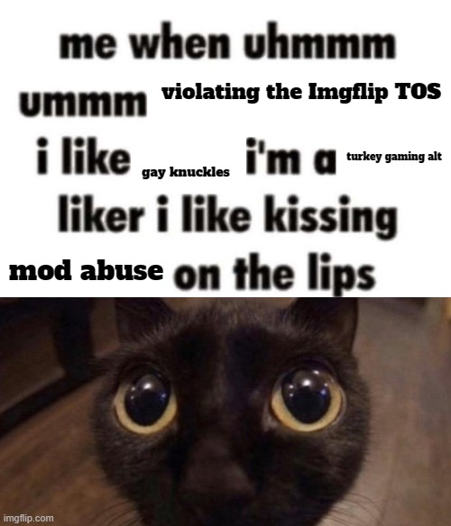 Me When Uhmmm | violating the Imgflip TOS; turkey gaming alt; gay knuckles; mod abuse | image tagged in me when uhmmm | made w/ Imgflip meme maker