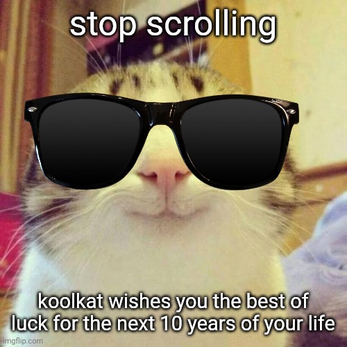 ;) | stop scrolling; koolkat wishes you the best of luck for the next 10 years of your life | image tagged in memes,smiling cat | made w/ Imgflip meme maker