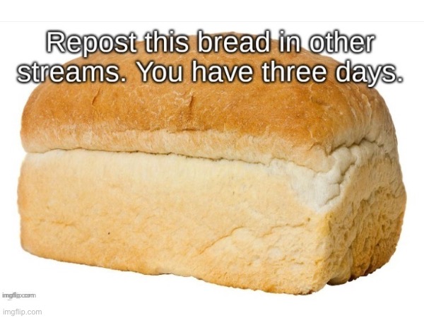 Bread | image tagged in repost | made w/ Imgflip meme maker