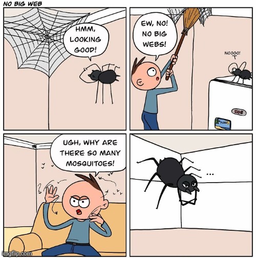 Webs | image tagged in mosquitoes,mosquito,spider,spider web,comics,comics/cartoons | made w/ Imgflip meme maker